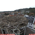 08_35-nest.jpg
