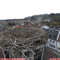 08_40-nest.jpg