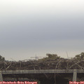 08_50-mast.jpg