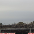 08_55-mast.jpg