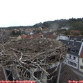 08_55-nest.jpg