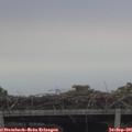09_00-mast.jpg