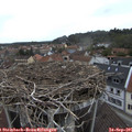 09_00-nest.jpg