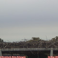 09_05-mast.jpg