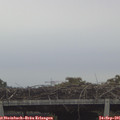 09_10-mast.jpg