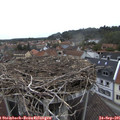 09_10-nest.jpg
