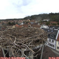 09_20-nest.jpg