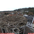 09_35-nest.jpg