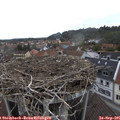 09_40-nest.jpg