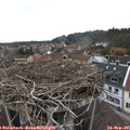 09_45-nest.jpg