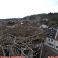 09_50-nest.jpg