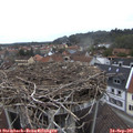 09_55-nest.jpg