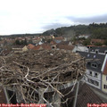 10_00-nest.jpg