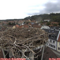 10_05-nest.jpg