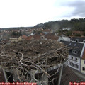 10_10-nest.jpg
