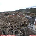 10_15-nest.jpg