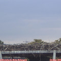 10_20-mast.jpg