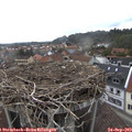 10_20-nest.jpg