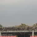10_25-mast.jpg