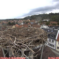 10_25-nest.jpg