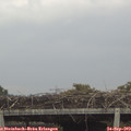 10_30-mast.jpg