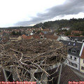 10_30-nest.jpg