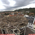 10_35-nest.jpg