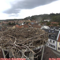 10_40-nest.jpg