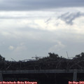 10_55-mast.jpg