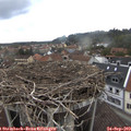 10_55-nest.jpg