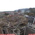 11_00-nest.jpg