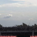 11_05-mast.jpg