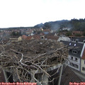 11_10-nest.jpg