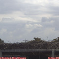 11_20-mast.jpg