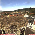 11_20-nest.jpg