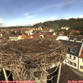 11_25-nest.jpg
