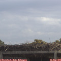 11_30-mast.jpg