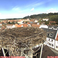 11_30-nest.jpg