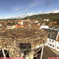 11_35-nest.jpg