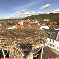 11_40-nest.jpg