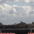 11_50-mast.jpg