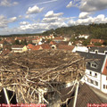 12_00-nest.jpg