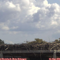 12_05-mast.jpg