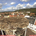 12_05-nest.jpg