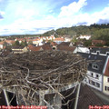 12_10-nest.jpg