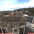 12_15-nest.jpg