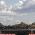 12_20-mast.jpg
