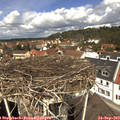 12_20-nest.jpg