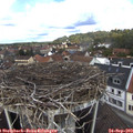 12_25-nest.jpg