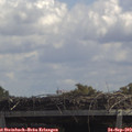 12_30-mast.jpg